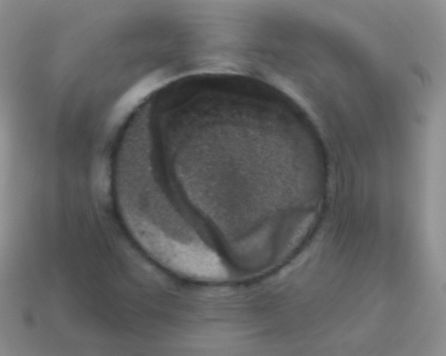 X0000113631455200910162005