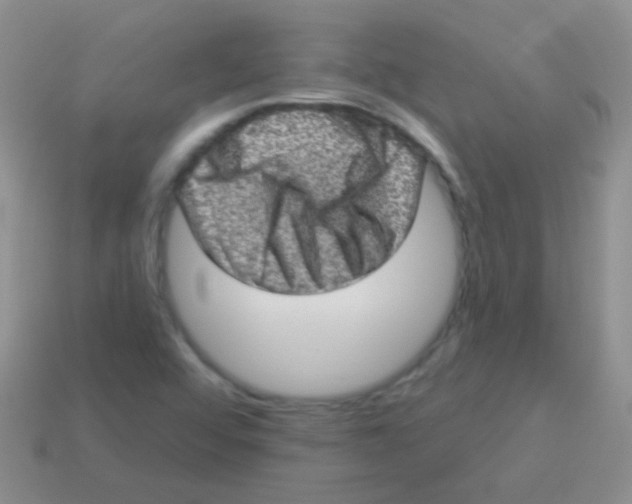 X0000113631456200910162005