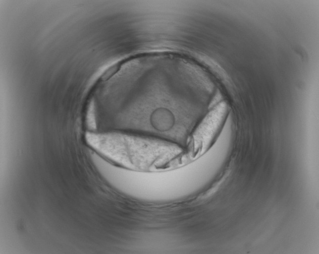 X0000113631457200910162005