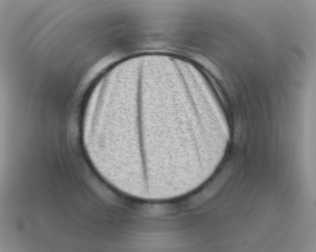 X0000113631458200910162005