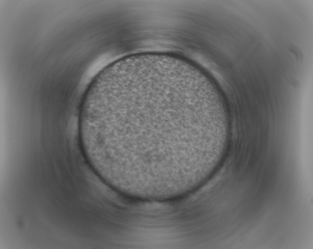 X0000113631459200910162005