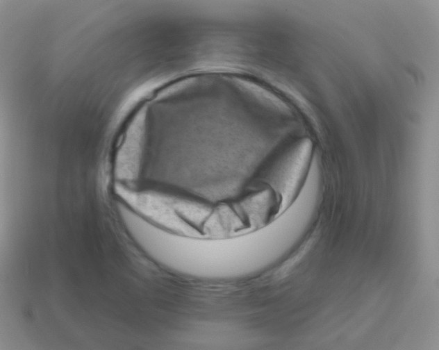 X0000113631461200910162005