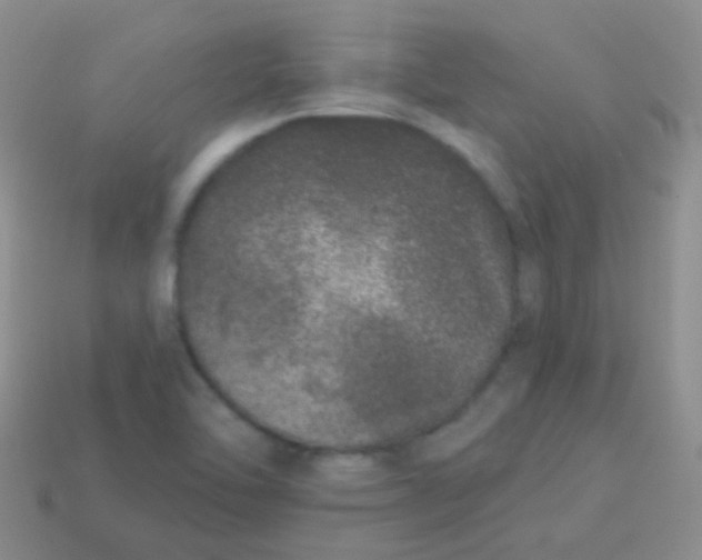 X0000113631462200910162005