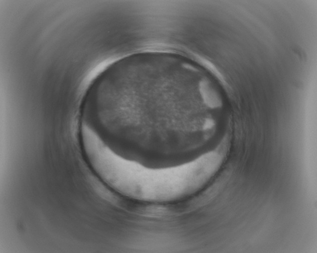 X0000113631463200910162005