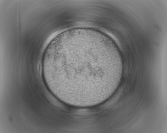 X0000113631467200910162005