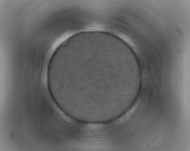 X0000113631469200910162005