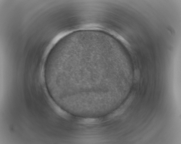 X0000113631470200910162004