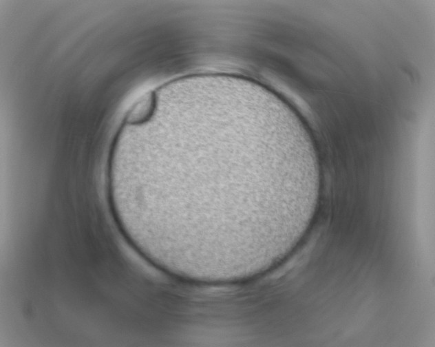 X0000113631471200910162004