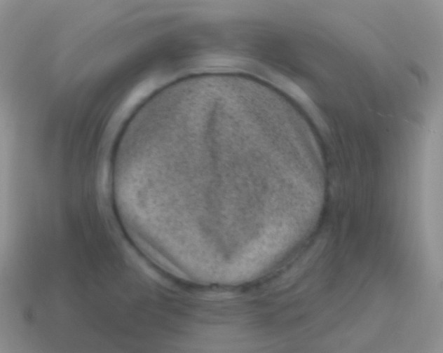 X0000113631472200910162004