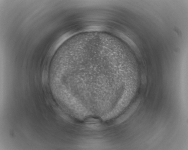 X0000113631473200910162004