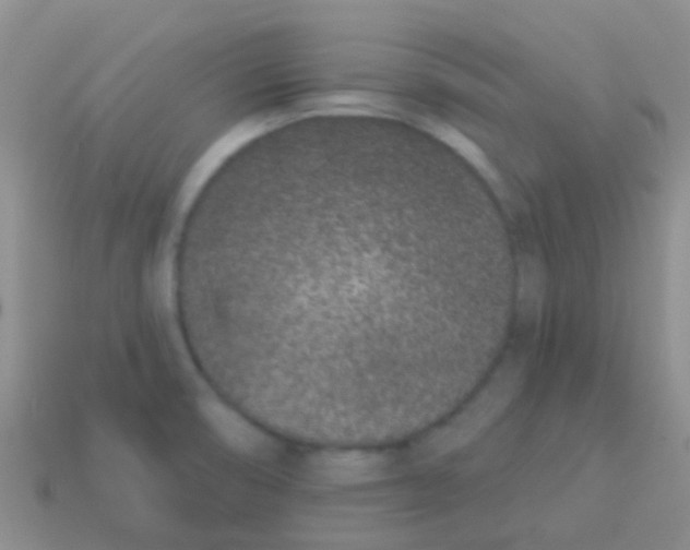 X0000113631474200910162004