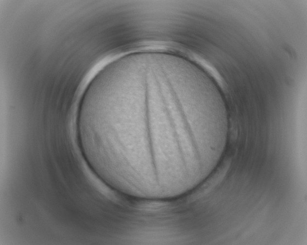 X0000113631475200910162004