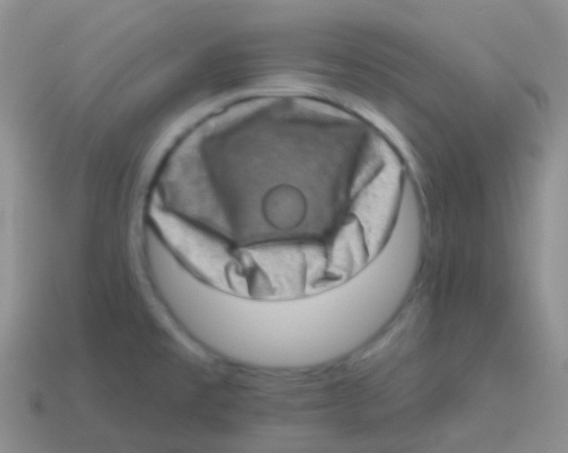 X0000113631477200910162004