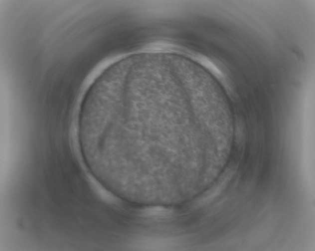 X0000113631478200910162004