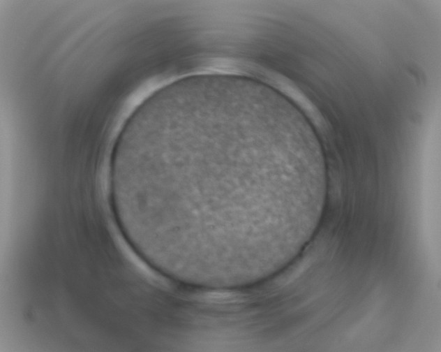 X0000113631479200910162004