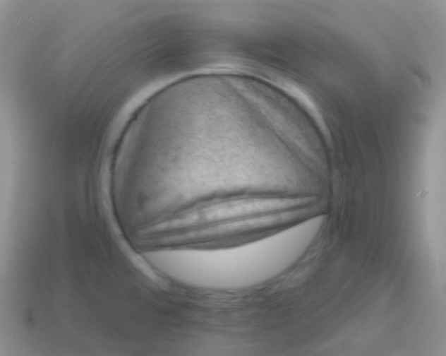 X0000113631480200910162004