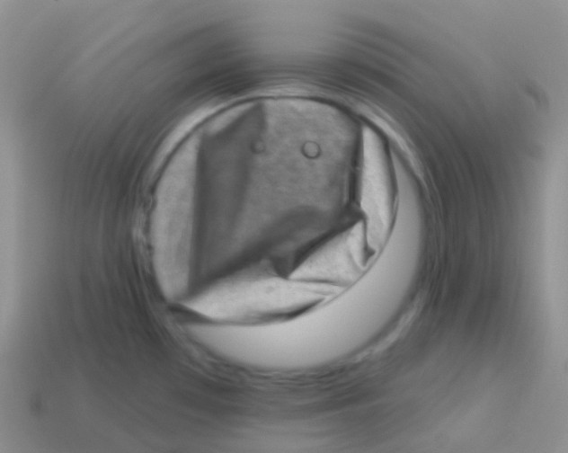 X0000113631481200910162004