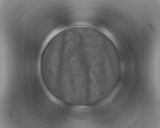 X0000113631482200910162004