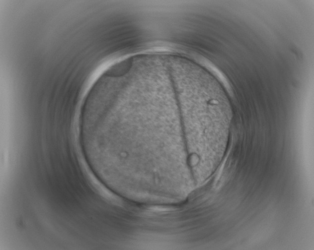 X0000113631483200910162004