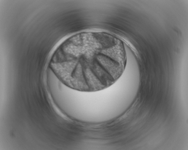 X0000113631484200910162004