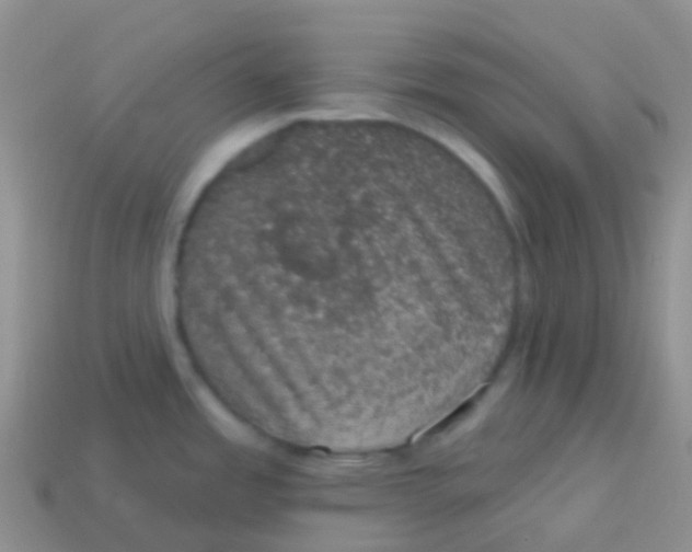 X0000113631485200910162004