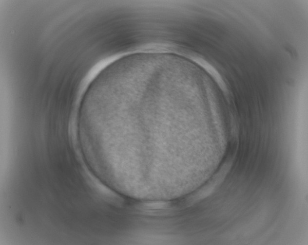 X0000113631486200910162004