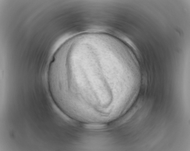 X0000113631487200910162004