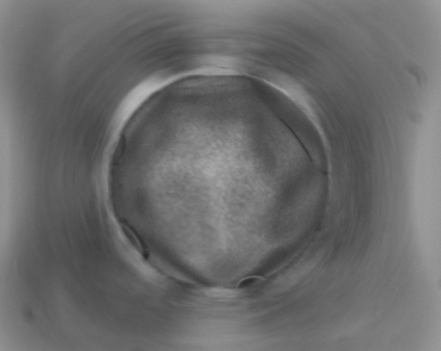 X0000113631488200910162004