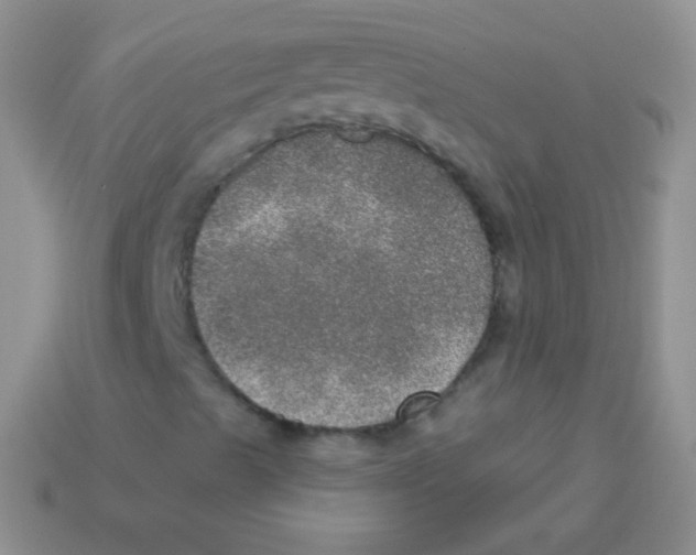 X0000113631489200910162003