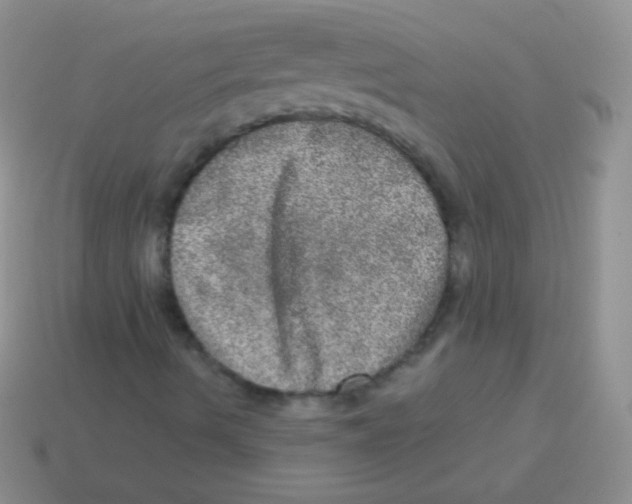 X0000113631490200910162003