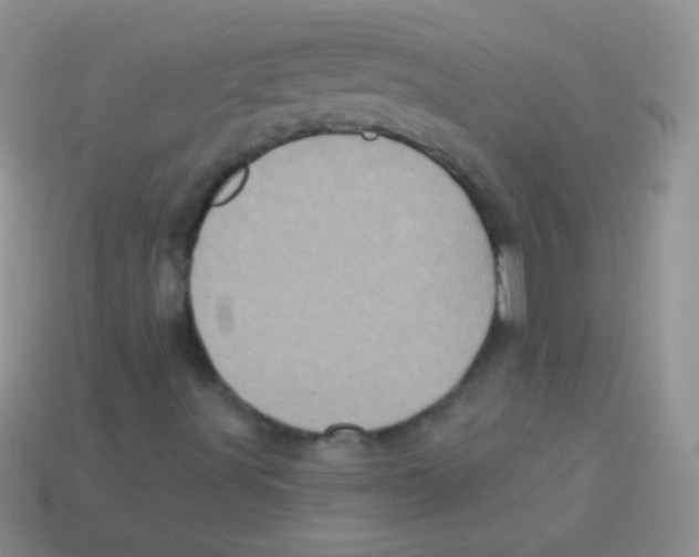 X0000113631491200910162003