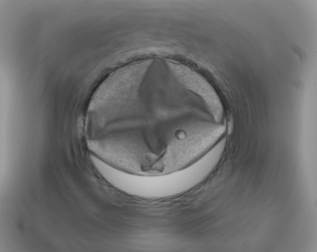 X0000113631492200910162003