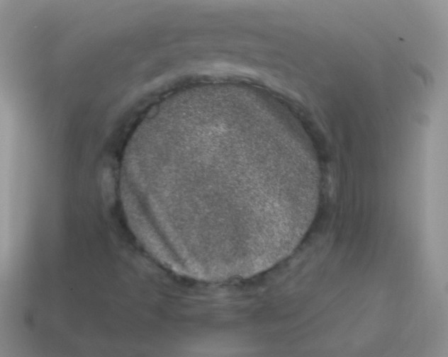 X0000113631493200910162003