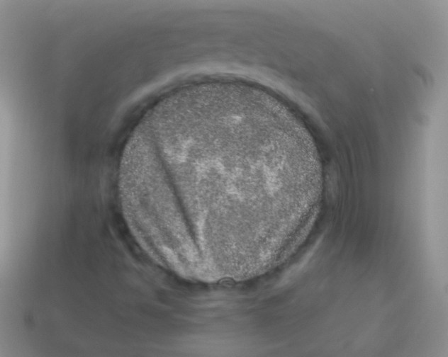 X0000113631494200910162003