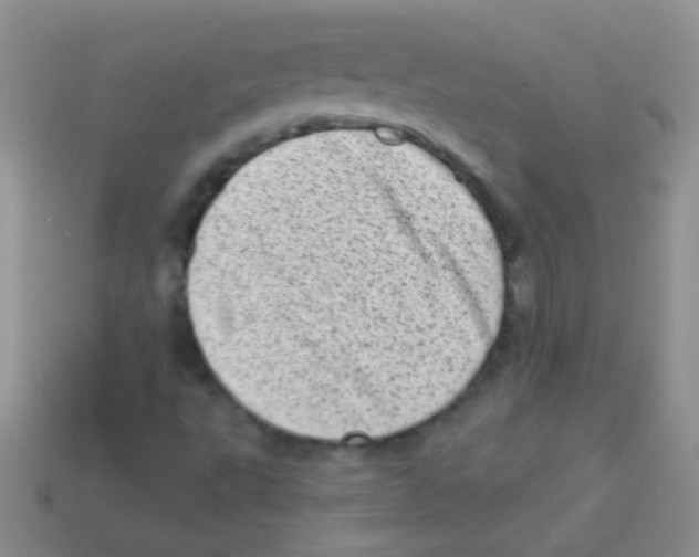 X0000113631495200910162003