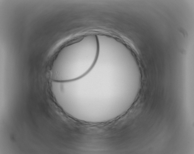 X0000113631496200910162003