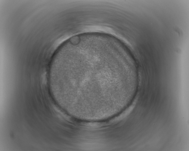 X0000113631497200910162004