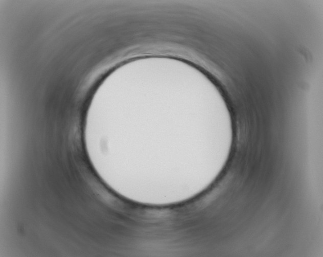 X0000113631498200910162004