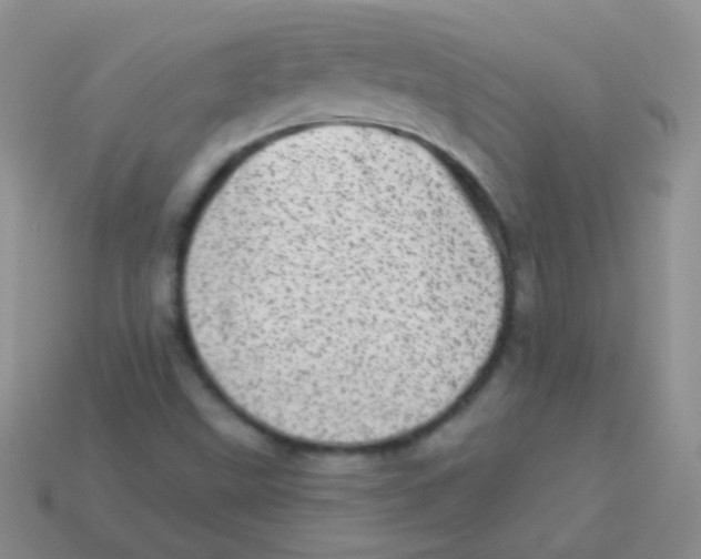 X0000113631499200910162004