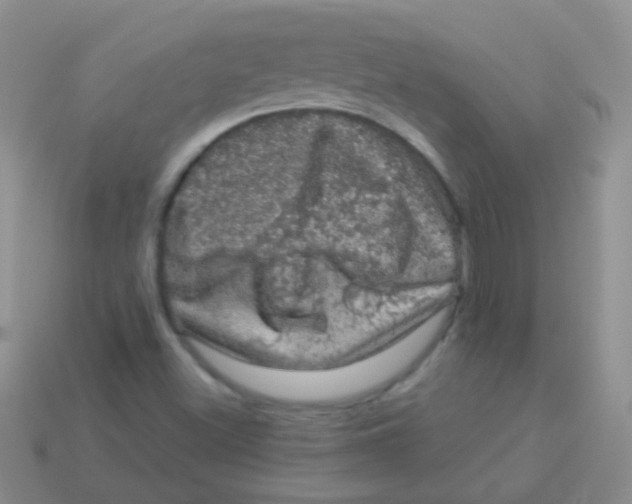 X0000113631500200910162004