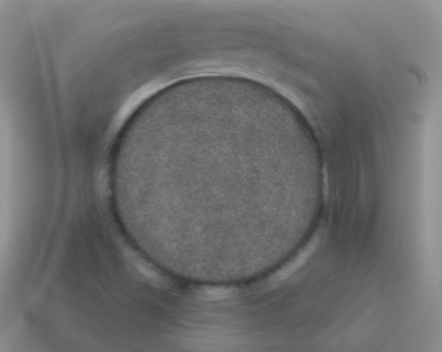 X0000113631501200910162004