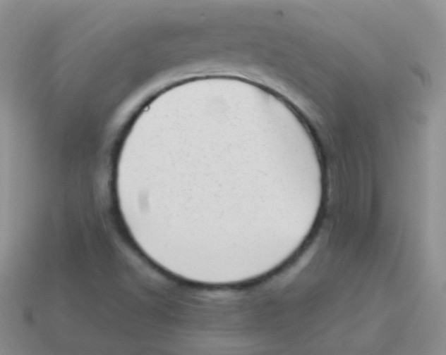 X0000113631502200910162004