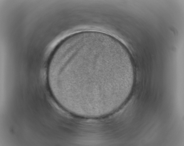 X0000113631503200910162004