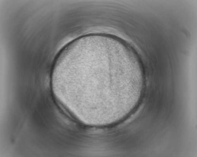 X0000113631505200910162004