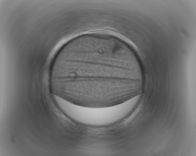 X0000113631506200910162004