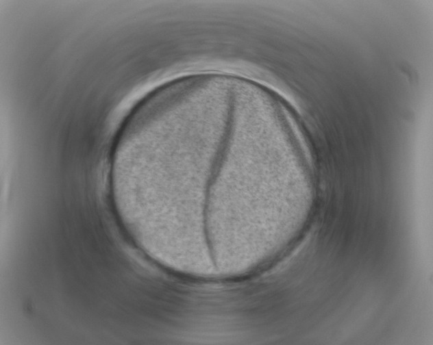 X0000113631507200910162004