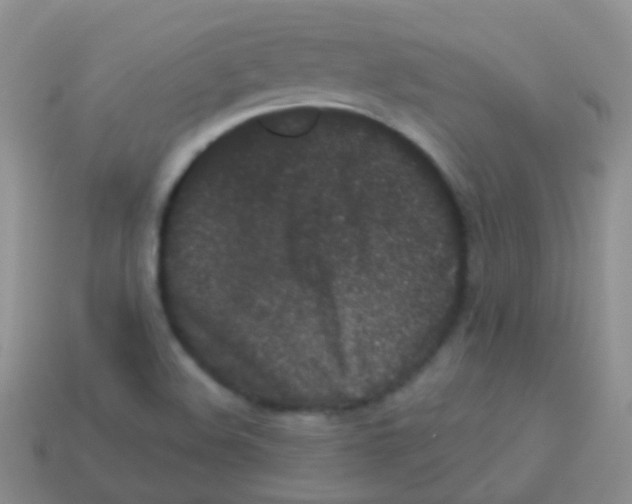 X0000113631508200910162004