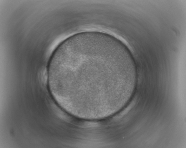 X0000113631509200910162004