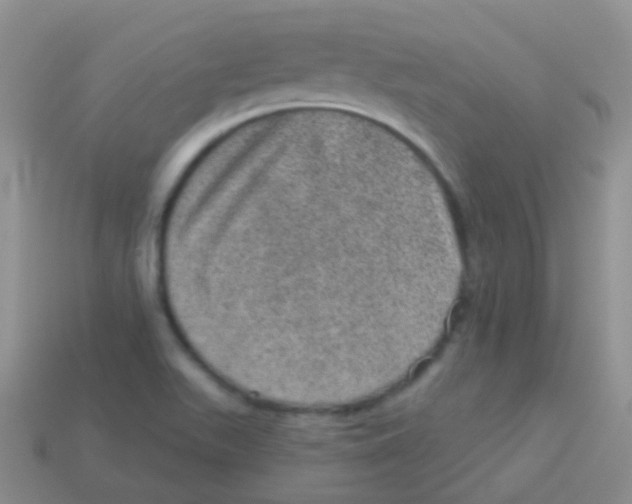 X0000113631511200910162004