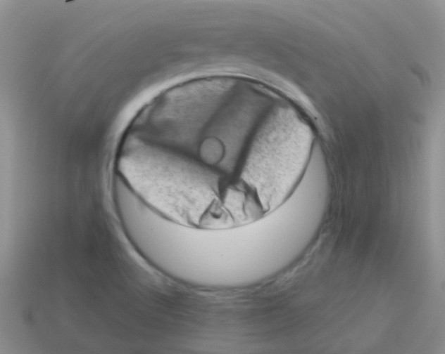 X0000113631512200910162004